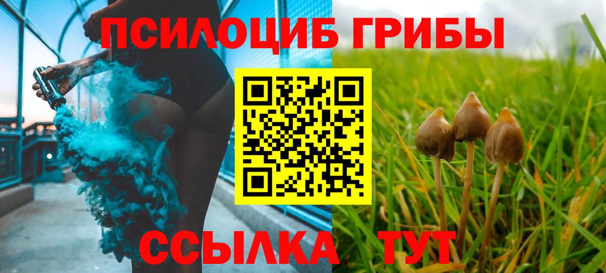 Псилоцибиновые грибы мицелий Курск