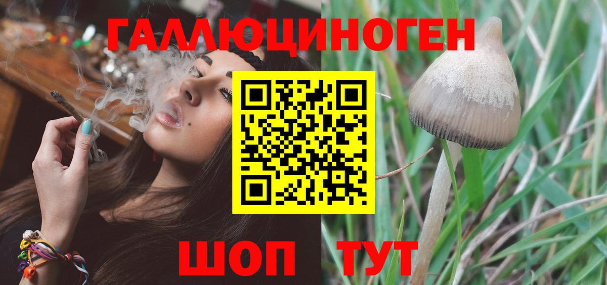 Курск  Галлюциногенные грибы ЛСД  Вход с VPN 